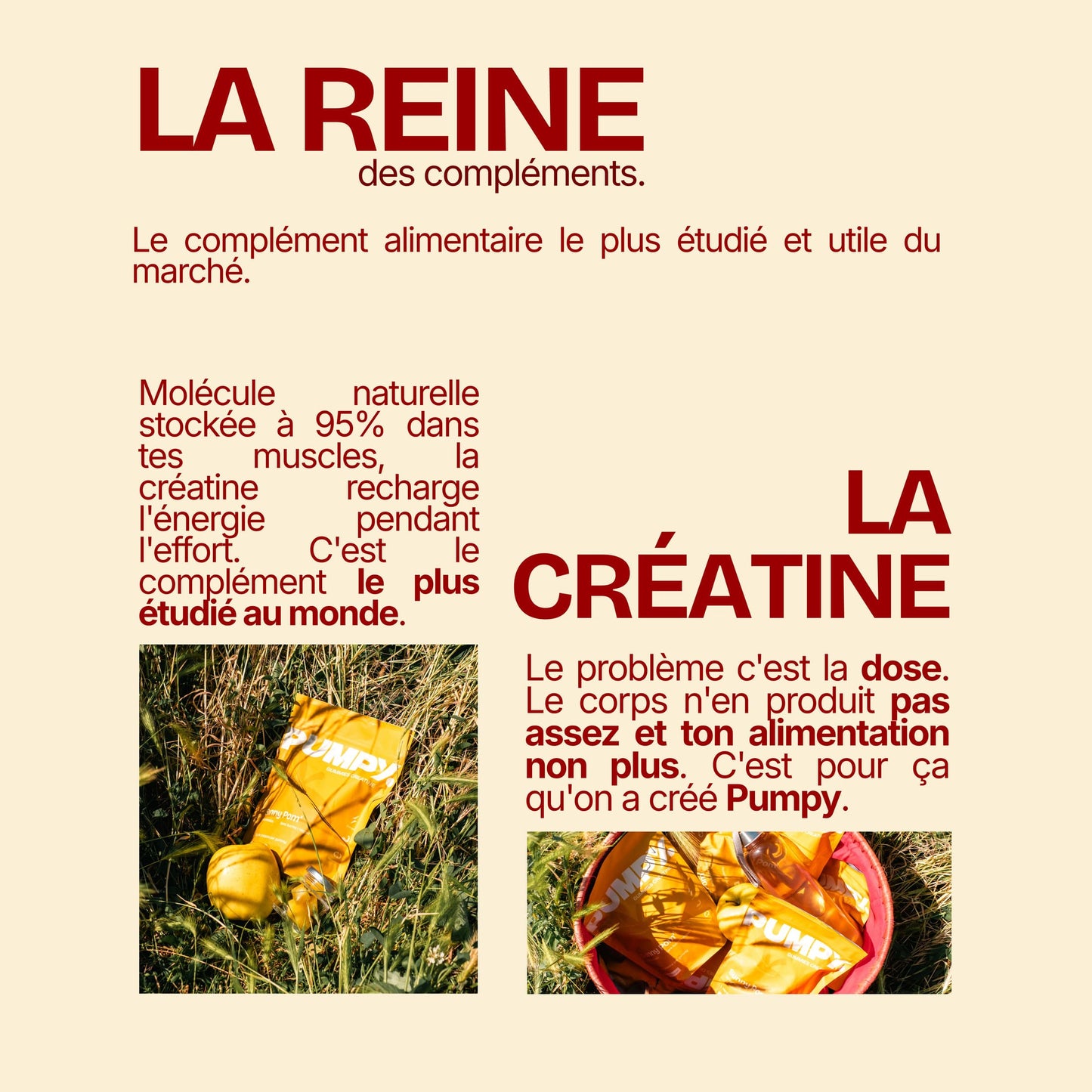 Pack 3 mois - Pumpy Creatine Gummies - Sunny Pom'